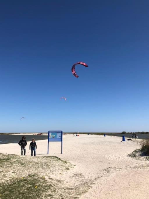 Gezellige Pipo Met Grote Schommel Aan Het Water Villa Medemblik Buitenkant foto